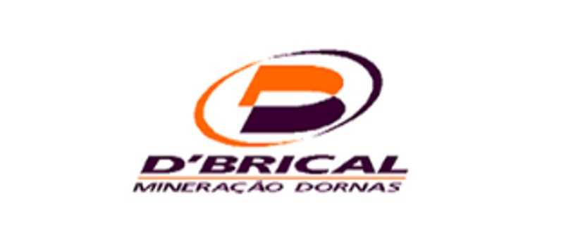 logo d brical